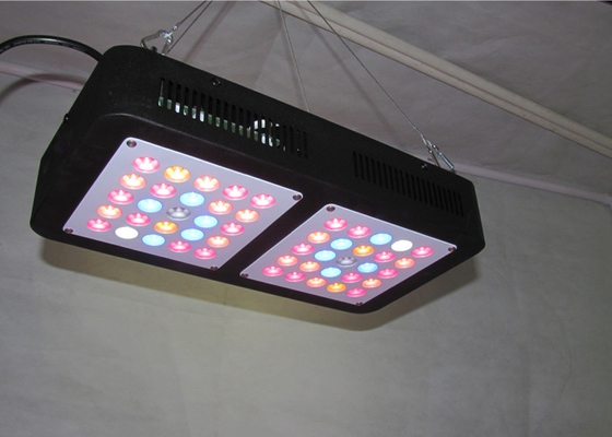 high power 250w high quality indoor commercial led plant growing Light Full Spectrum for Indoor system garden greenhouse