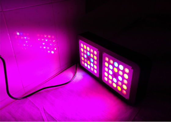 high power 250w high quality indoor commercial led plant growing Light Full Spectrum for Indoor system garden greenhouse