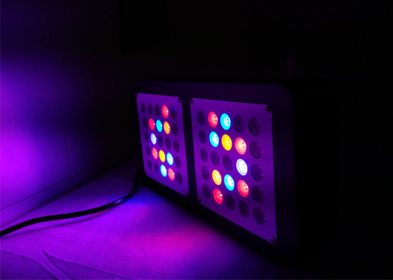 high power 250w high quality indoor commercial led plant growing Light Full Spectrum for Indoor system garden greenhouse