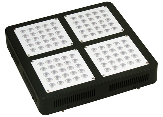 ForestGrower dual switches 500w cheap led grow lights for indoor garden greenhouse grow system control for Veg flowering