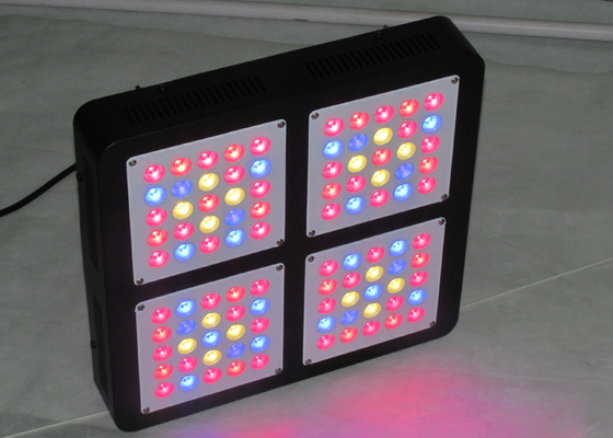 ForestGrower dual switches 500w cheap led grow lights for indoor garden greenhouse grow system control for Veg flowering