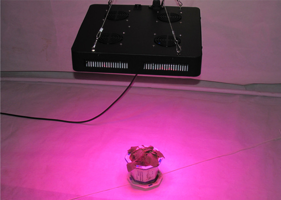 ForestGrower dual switches 500w cheap led grow lights for indoor garden greenhouse grow system control for Veg flowering