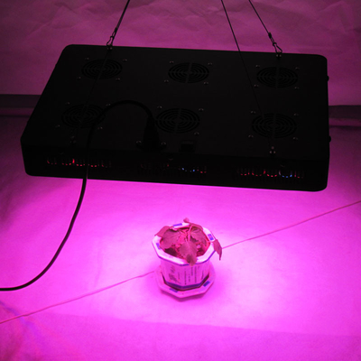 Top10 750w best led grow light for medical plants hemp mj indoor garden greenhouse grow system control for Veg flowering