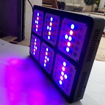 Top10 750w best led grow light for medical plants hemp mj indoor garden greenhouse grow system control for Veg flowering