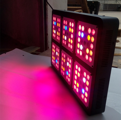 Top10 750w best led grow light for medical plants hemp mj indoor garden greenhouse grow system control for Veg flowering