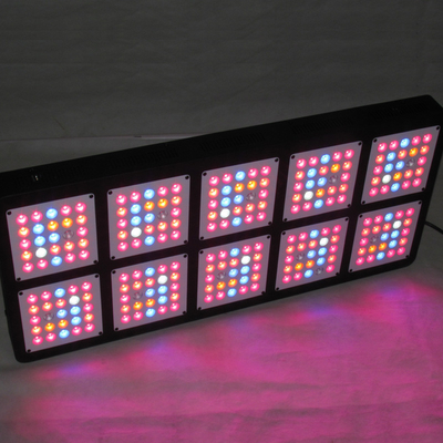 ForestGrower Full Spectrum1250W 12bands indoor grow lights Exclusive 5W Grow LED chip For Indoor Plant Hydroponic System
