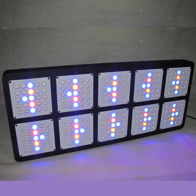 ForestGrower Full Spectrum1250W 12bands indoor grow lights Exclusive 5W Grow LED chip For Indoor Plant Hydroponic System