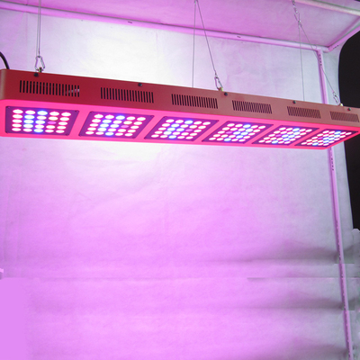 450w - 2 Indoor Led Grow Lamp For Medical Plants Hemp Greenhouse Control Vegetable Hydroponic