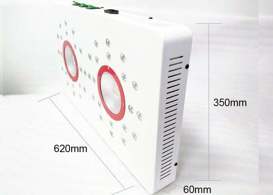 Full Spectrum 336w COB LED Grow Light for Indoor Plant Vegetative Flowering,plant led grow light COB for hydroponics