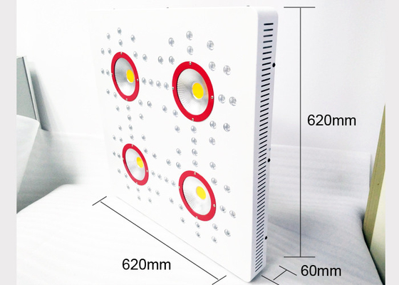 1008 W Horticulture COB LED Grow Lights For Vegetative Cultivation Seedling Horticulture