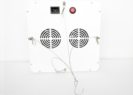 Cultivation Vegetative Bloom Garden Indoor Grow Lights , 300w Led Grow Lamps For Indoor Plants