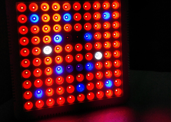 Cultivation Vegetative Bloom Garden Indoor Grow Lights , 300w Led Grow Lamps For Indoor Plants