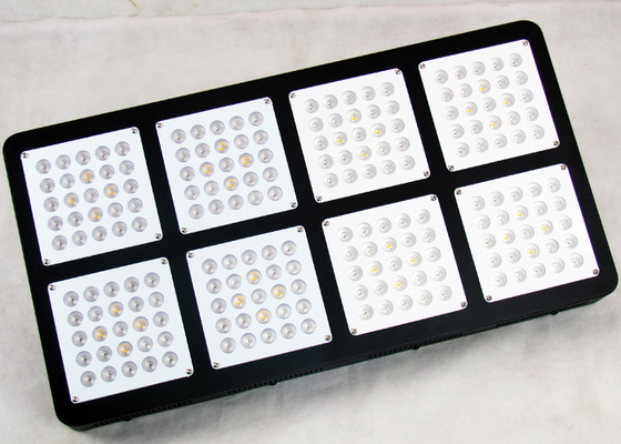 Indoor Plants 1000W Full Spectrum Led Grow Light 5w High Power For Hydroponic Grow System