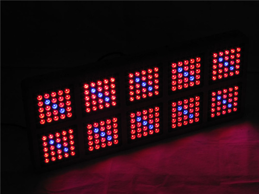 Forest Grower 1250w Full Spectrum Grow Lights , 12bands 5W Chip Hydroponic Grow Lights