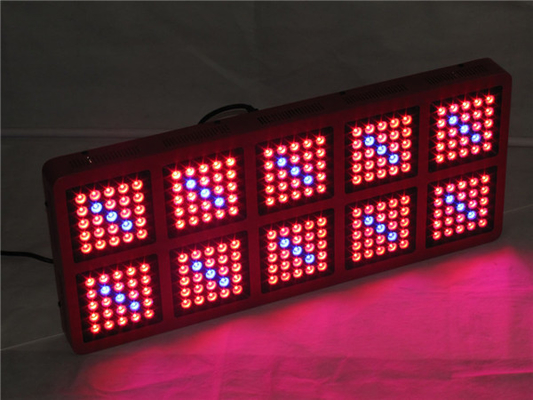 Forest Grower 1250w Full Spectrum Grow Lights , 12bands 5W Chip Hydroponic Grow Lights