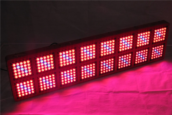Garden 2000W Full Spectrum Grow Lights Greenhouse Hydroponic System Propagation Floricultural