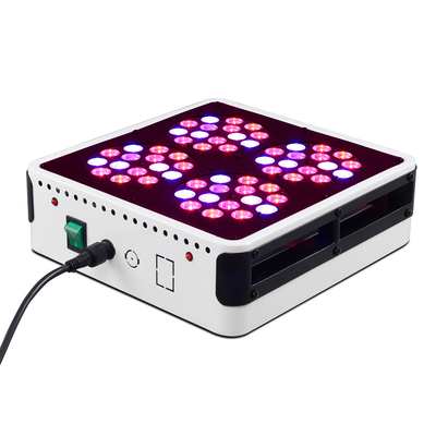 Indoor APOLLO4 Commercial Grow Lights 180w Full Spectrum Switchable Control For Veg Bloom