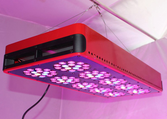 Agricultural Full Spectrum Led Grow Light Plants Propagation Hydroponic Growing Cultivation
