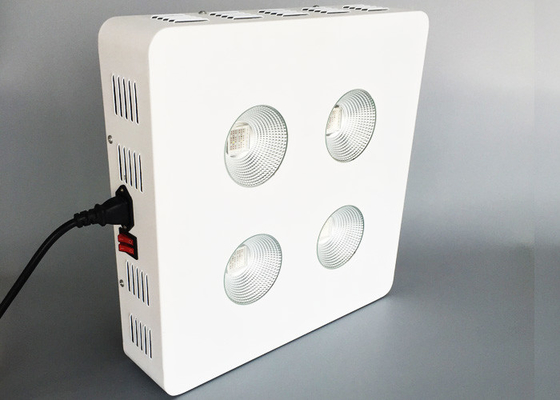 Agricultural Tissue Cultivation Cob Grow Light For Hydroponic Indoor Medical Plants VEG