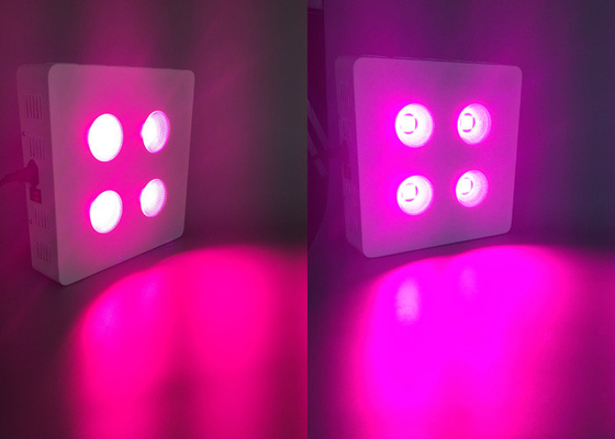 Super Bright Hydroponic COB LED Horticulture Light Cultivation Tent Medicinal Plants Growing