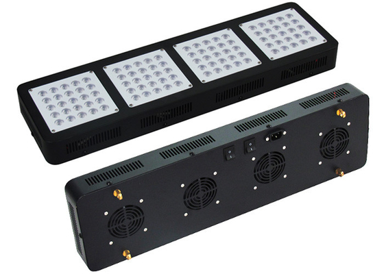 High Power Indoor Grow Lights 3w 45mil Full Spectrum 300w For City Growing Modular Design