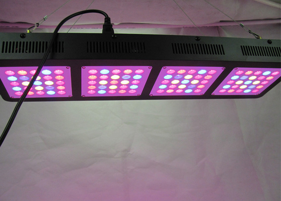 High Power Indoor Grow Lights 3w 45mil Full Spectrum 300w For City Growing Modular Design