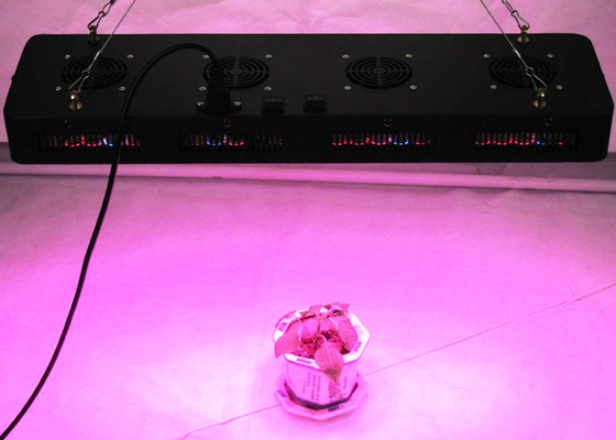 High Power 500w Diy Led Grow Lights For All Growth Stages VEG Bloom Flower