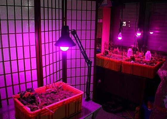Weed E27 15w Indoor Grow Lights 3w Cree EPISTAR 660nm 630nm 730nm 460nm 430nm UV IR