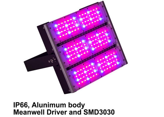 High Lumens 150w Hydroponic Outdoor Grow Lights , Medical Plant Marijuana Led Grow Lights