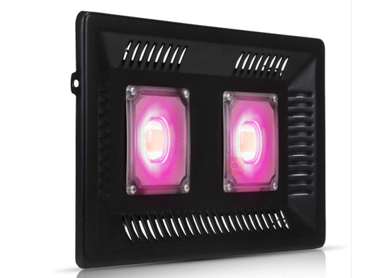 COB Hydroponic Outdoor 100w Diy Led Grow Lights IP67 For Vegetables Horticultural Seedling