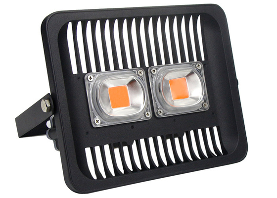IP65 100w Outdoor Grow Lights For Garden Plants Background Wall Design Commercial Grower