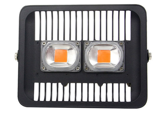 IP65 100w Outdoor Grow Lights For Garden Plants Background Wall Design Commercial Grower