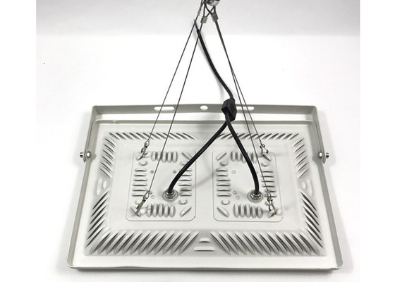 Full Spectrum 600Watt 380-840nm cob led Grow Light for Vegetation Flowering outdoor garden