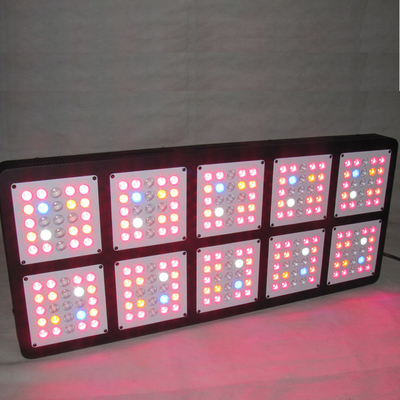 ForestGrower Full Spectrum1250W 12bands indoor grow lights Exclusive 5W Grow LED chip For Indoor Plant Hydroponic System