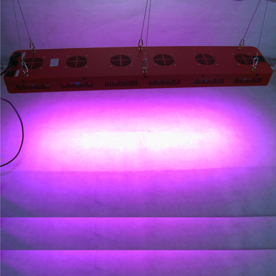 450w - 2 Indoor Led Grow Lamp For Medical Plants Hemp Greenhouse Control Vegetable Hydroponic
