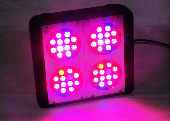 Dual Switches 480w Led Growing Lights For Cannabis , Medical Plants Hemp M.J Weed Led Indoor Garden Lights