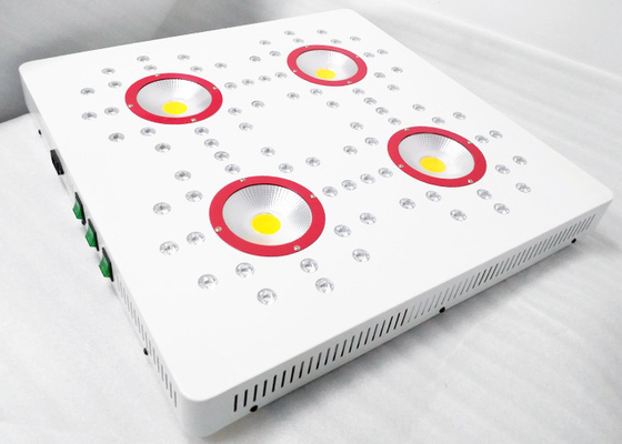 1008 W Horticulture COB LED Grow Lights For Vegetative Cultivation Seedling Horticulture