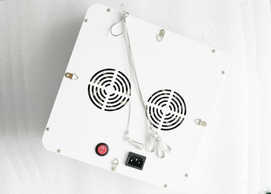 Cultivation Vegetative Bloom Garden Indoor Grow Lights , 300w Led Grow Lamps For Indoor Plants