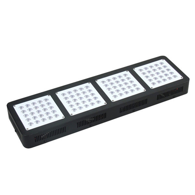 6-500w Medical Plants Full Spectrum Led Grow Light , Cannabis Medical Hemp Hydroponic Grow Lights
