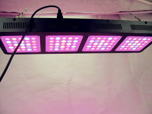 6-500w Medical Plants Full Spectrum Led Grow Light , Cannabis Medical Hemp Hydroponic Grow Lights
