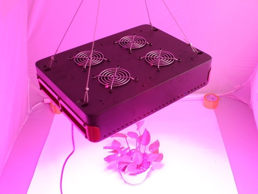 APOLLO6 270w Greenhouse Grow Lights , Seeding Veg Bloom Hydroponic Grow Lights