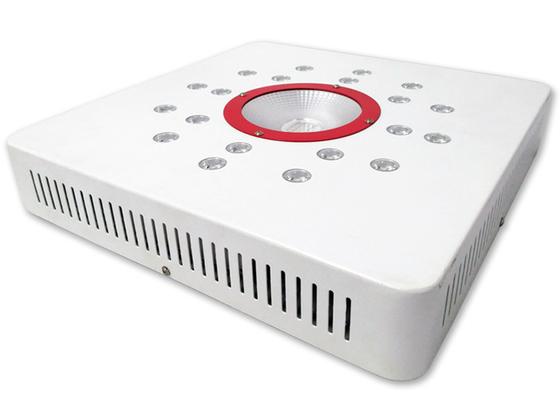 Plants Led Indoor Cob Grow Light For Hydroponic Systems Gardening Greenhouse ETL Certificate
