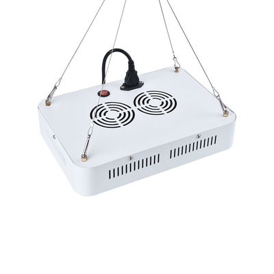 500w Diy Led Full Spectrum Grow Lights For Cultivation Vegetative Hydroponic Vertical Farming