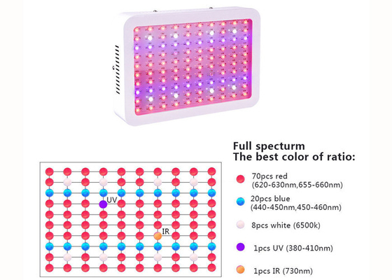 500w Diy Led Full Spectrum Grow Lights For Cultivation Vegetative Hydroponic Vertical Farming