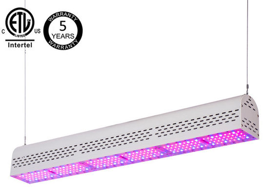 High Lumens 150w Hydroponic Outdoor Grow Lights , Medical Plant Marijuana Led Grow Lights