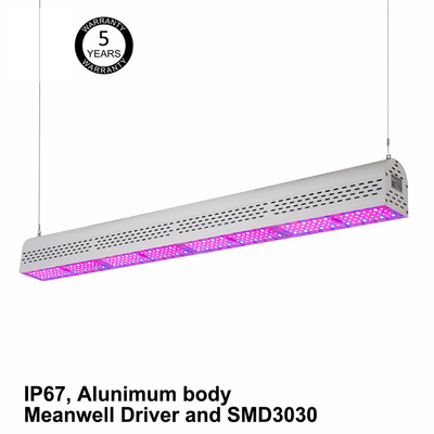 Horticultural Agriculture Greenhouse Grow Lights , 150W High Power Grow Lights
