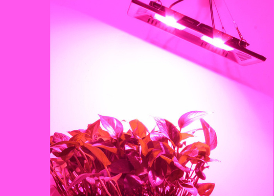 COB Hydroponic Outdoor 100w Diy Led Grow Lights IP67 For Vegetables Horticultural Seedling