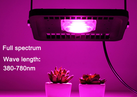 Hydroponic 30w Outdoor Grow Lights Waterproof For Indoor Plants Seedling Cultivation