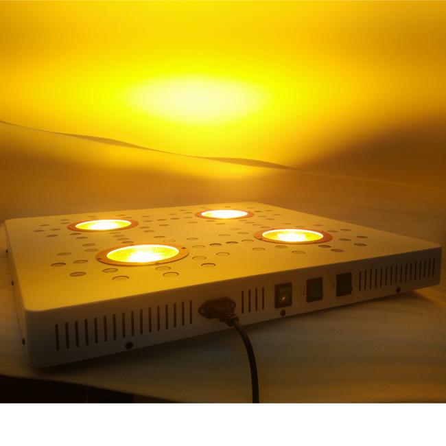 L'ÉPI LED ÉLÈVENT LA LUMIÈRE