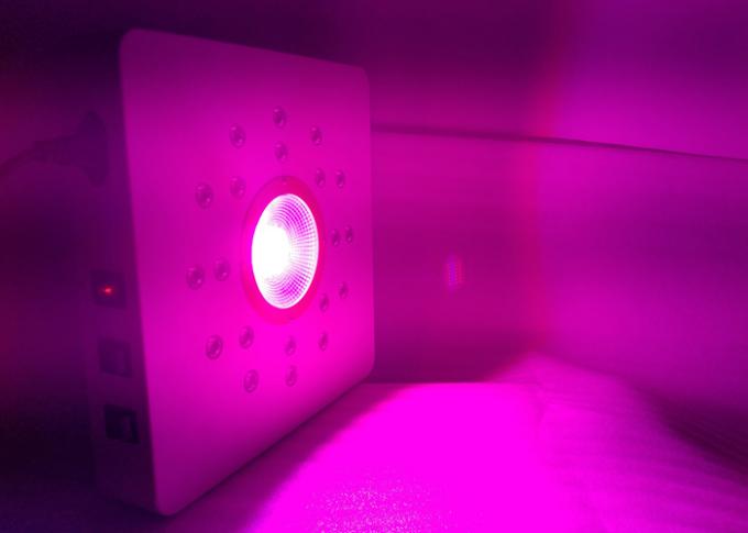 le plein spectre d'épi mené élèvent des lumières
